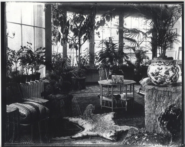 8X10 PHOTO KINGS ESTATE, PITTSBURGH, PA CONSERVATORY ROOM W/ ANIMAL RUG-SET OF 2