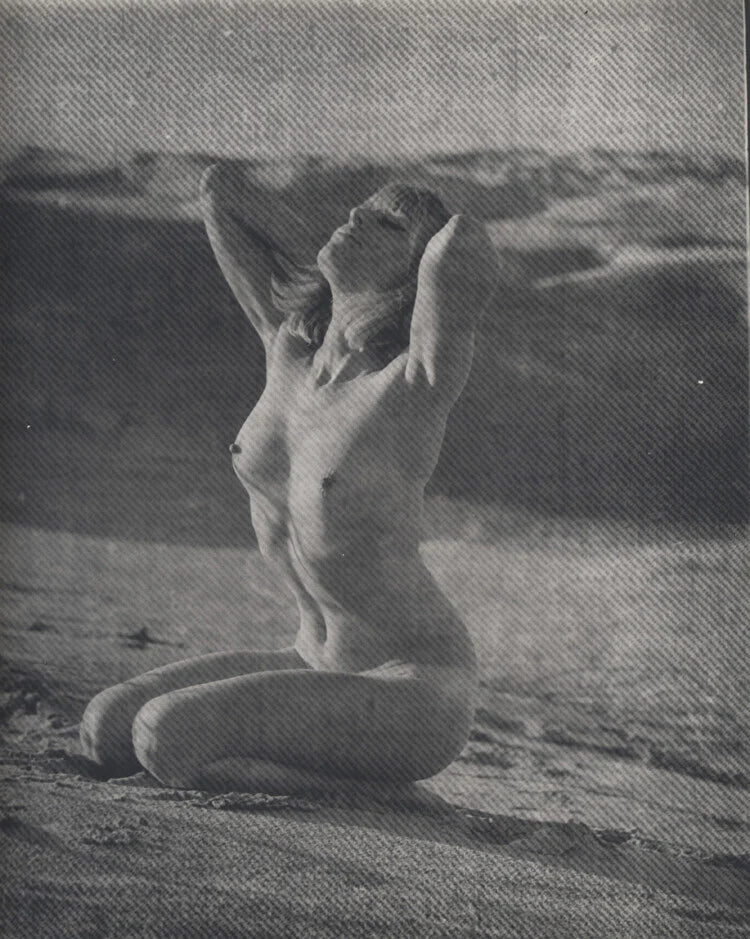 8X10 PORTRAIT OF BEAUTIFUL BLONDE ON BEACH W/ PERKY BREASTS