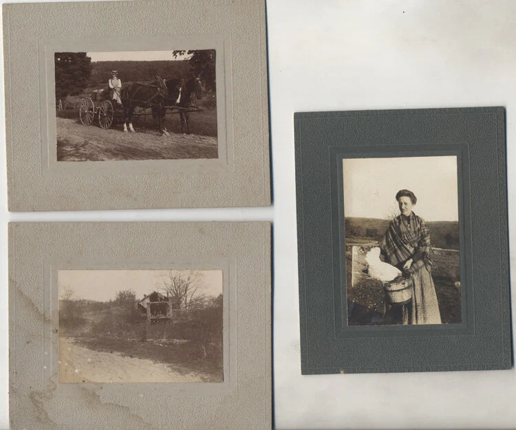 VINTAGE PHOTOS OF FARM W/ HORSE, CHICKEN, WAGON - SET OF THREE