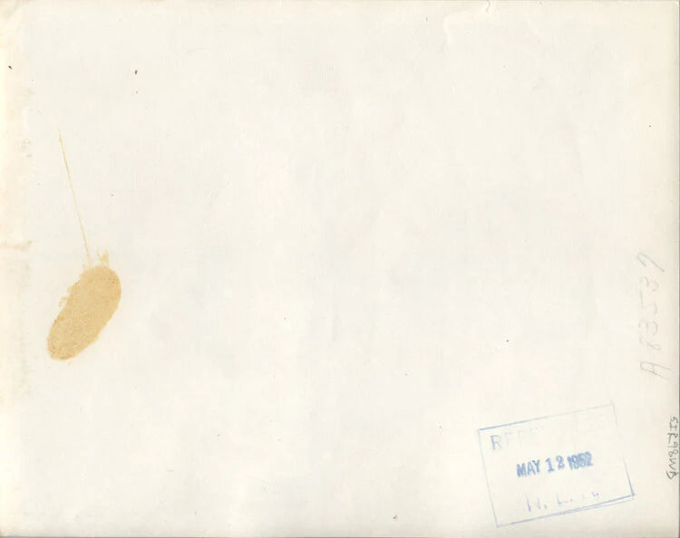 1952 PORTRAIT OF AFRICAN-AMERICAN WOMAN EATING A CAKE - REPRINT