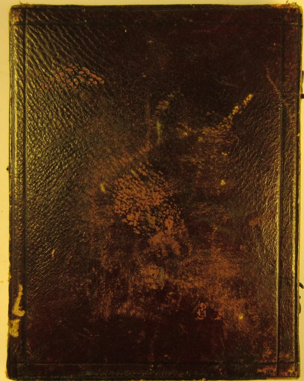 WOMAN IN SCARF. RICHLY TINTED 4TH PLATE AMBROTYPE. HALF CASE.