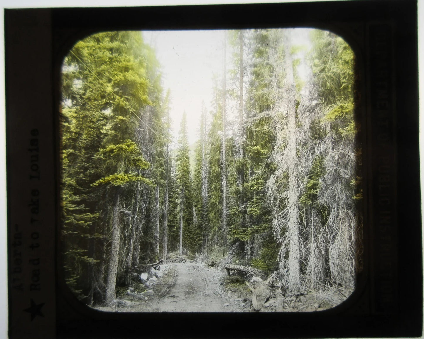 TREE LINED RURAL ROAD LOUISE. ALBERTA, CANADA. HAND COLORED PHOTO ON GLASS.