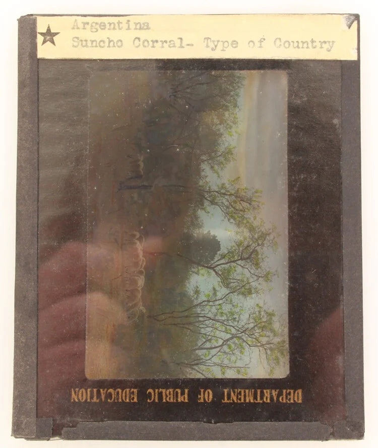 COLOR PHOTO ON GLASS OF SHEEP HERD - SUNCHO CORRAL, ARGENTINA