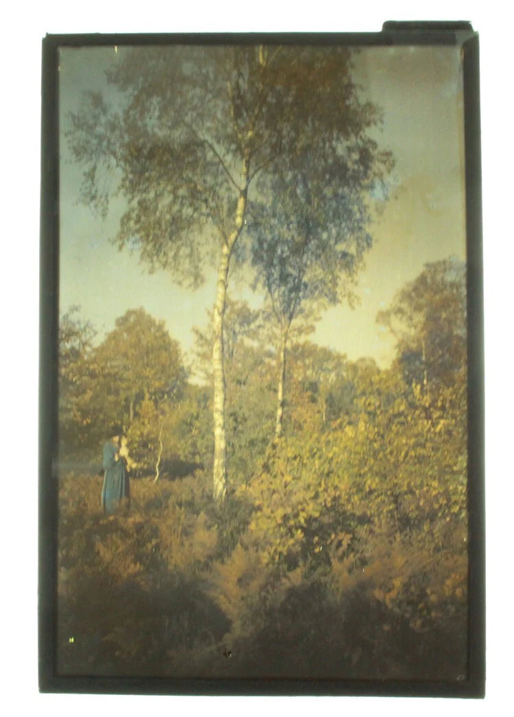 4X6 AUTOCHROME OF WOMAN POSING W/ PUPPY DOG IN THE FOREST