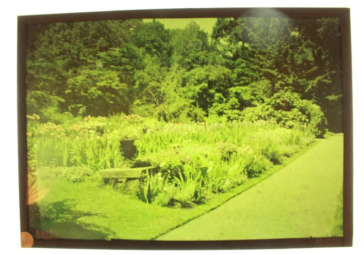 5X7 AUTOCHROME OF BEAUTIFUL LUSH GARDEN