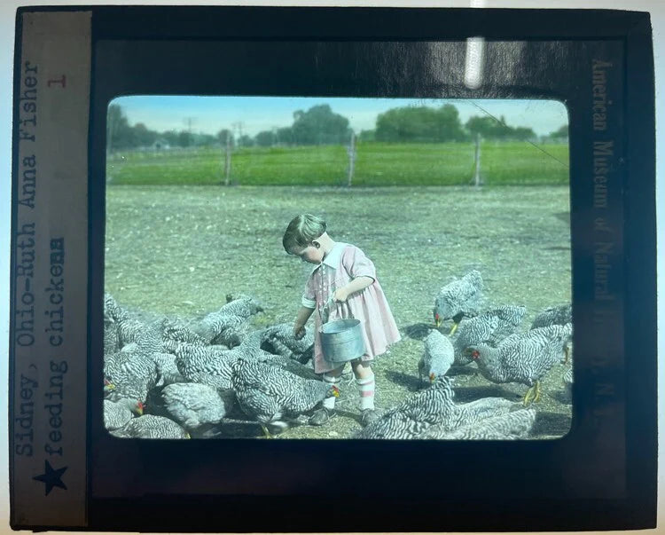 COLOR PHOTO ON GLASS OF LITTLE GIRL FEEDING CHICKENS - SIDNEY, OHIO