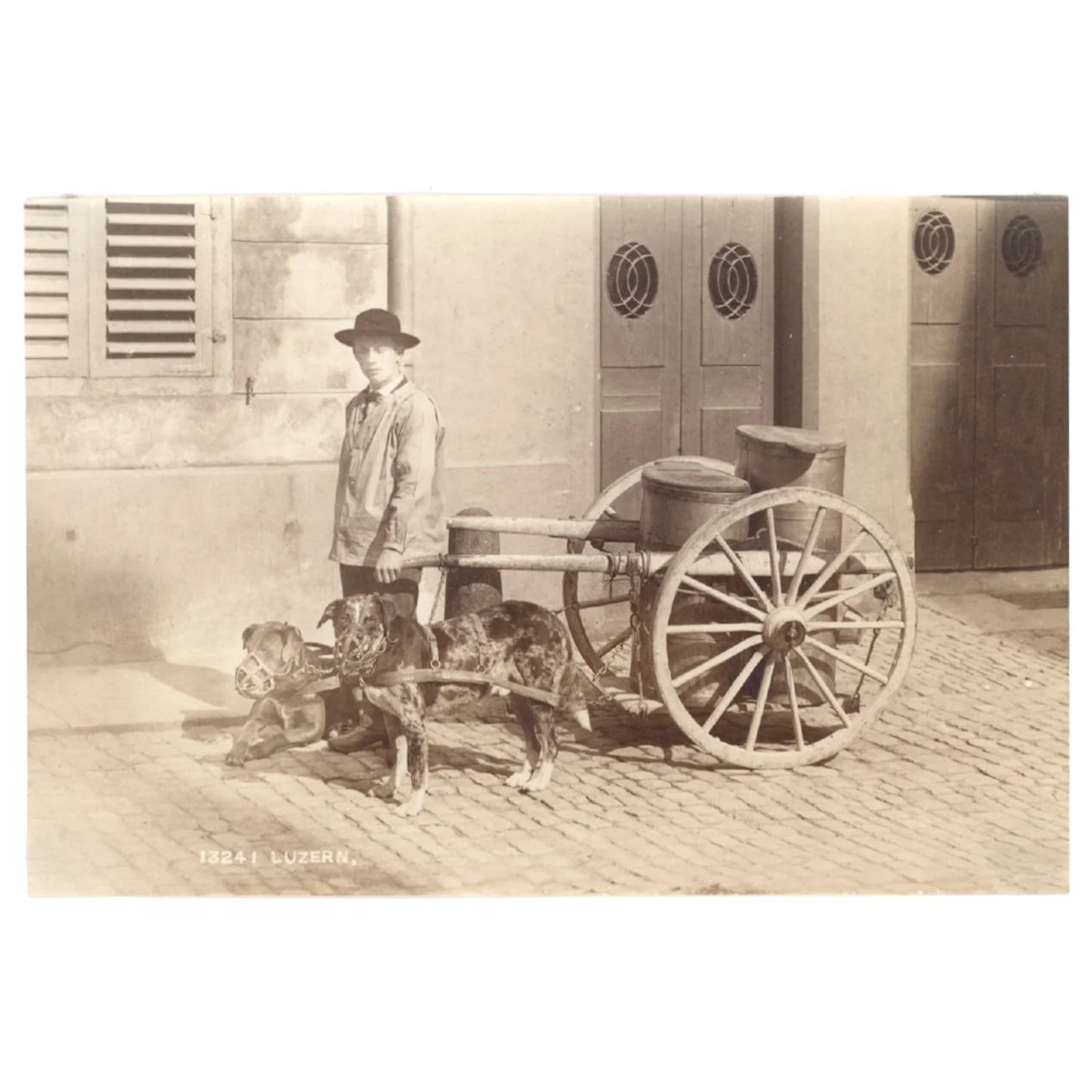 VINTAGE PHOTO - YOUNG MAN W (2) DOGS PULLING MILK CART LUZERNE SWITZERLAND