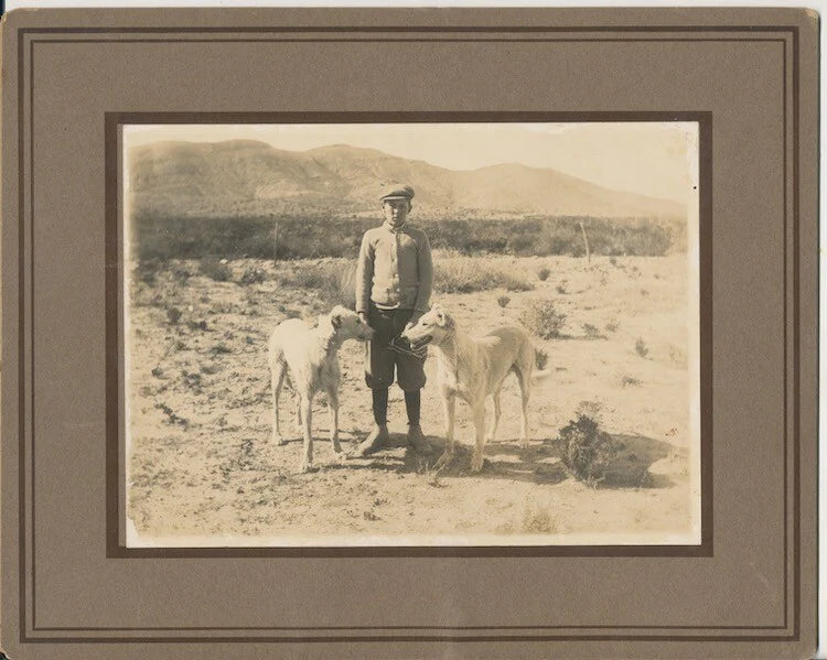 1915 PHOTO OF BOY IN DESERT W/ BEAUTIFUL DOGS - SIERRA BLANCA, TEXAS