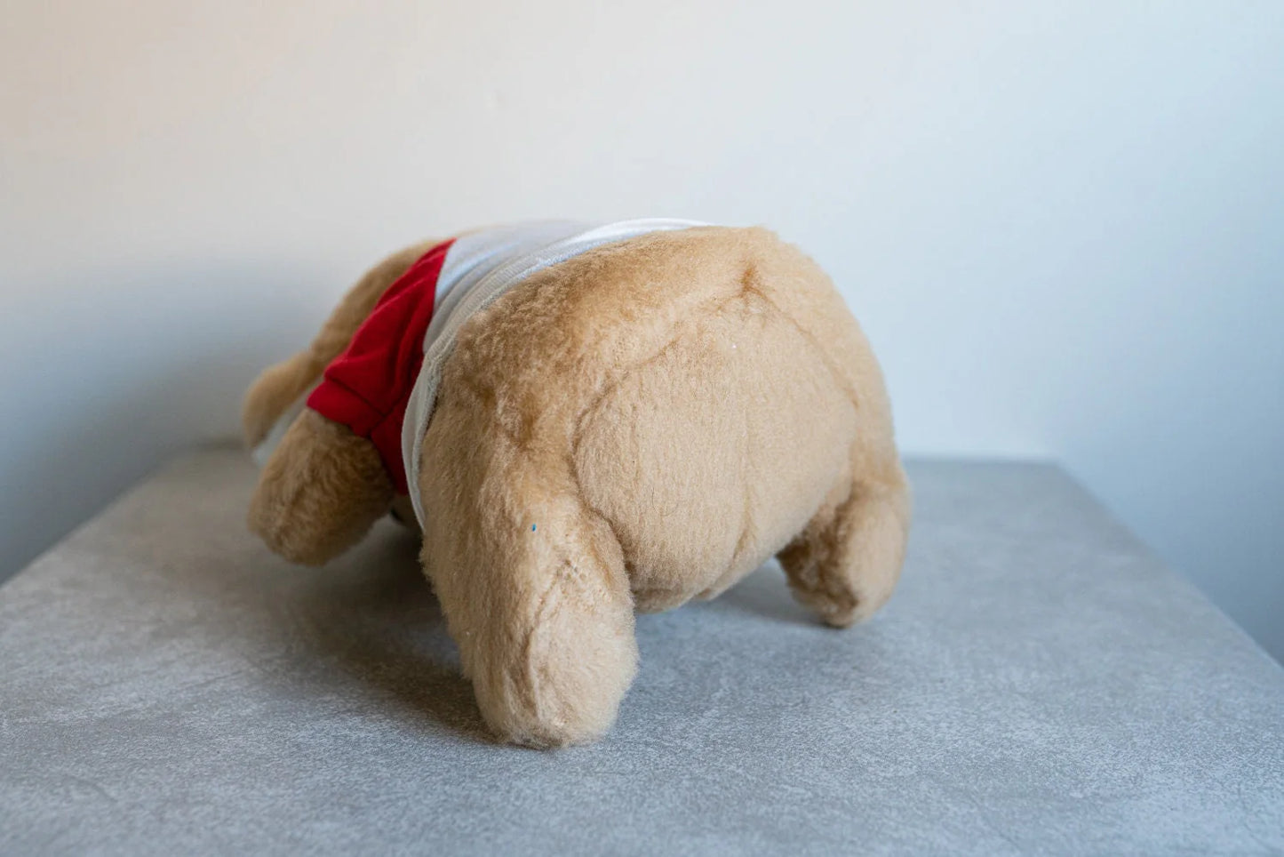 Vintage Fuji Film Stuffed Koala, Official Film T-Shirt