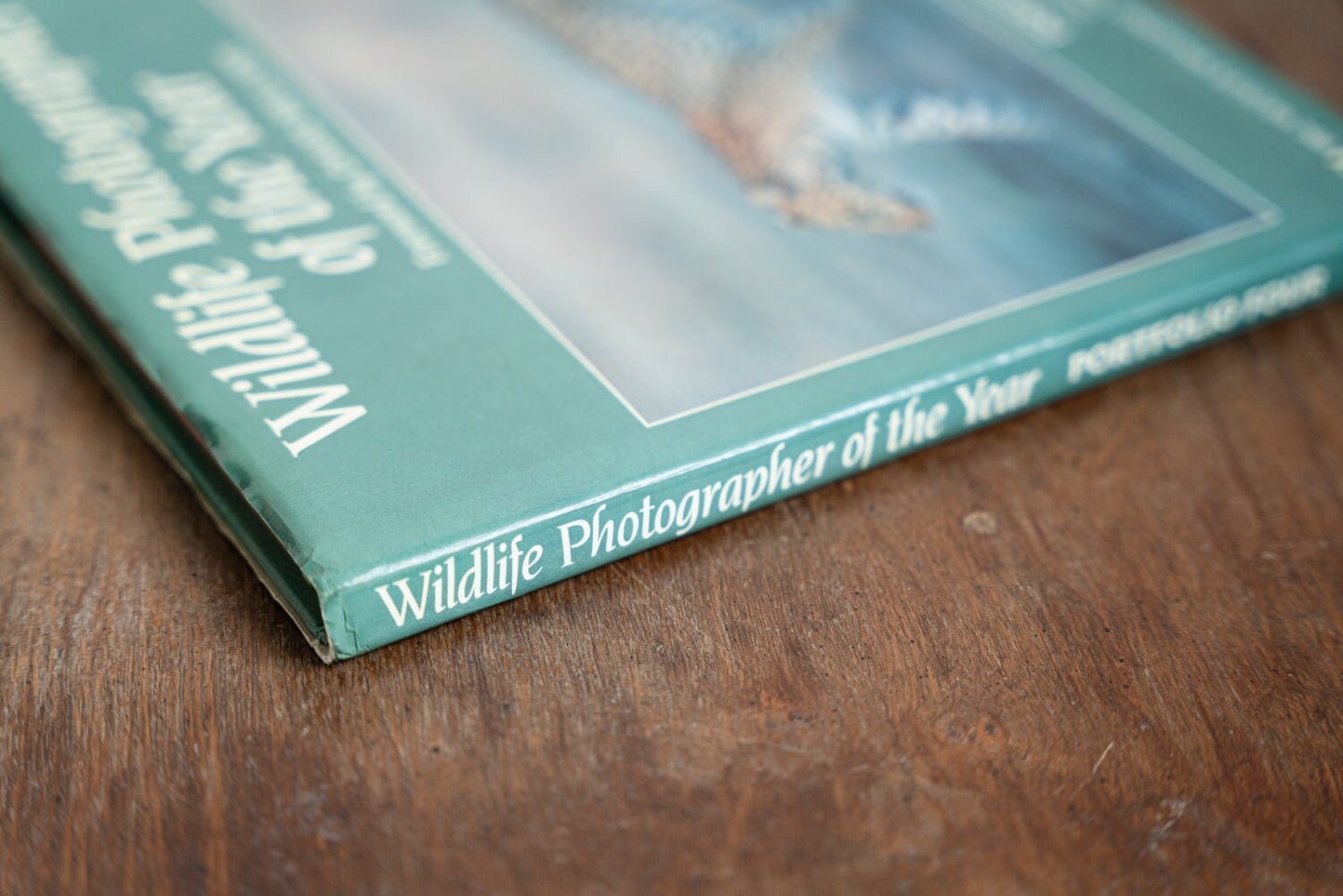 Wildlife Photographer of the Year: Portfolio Four