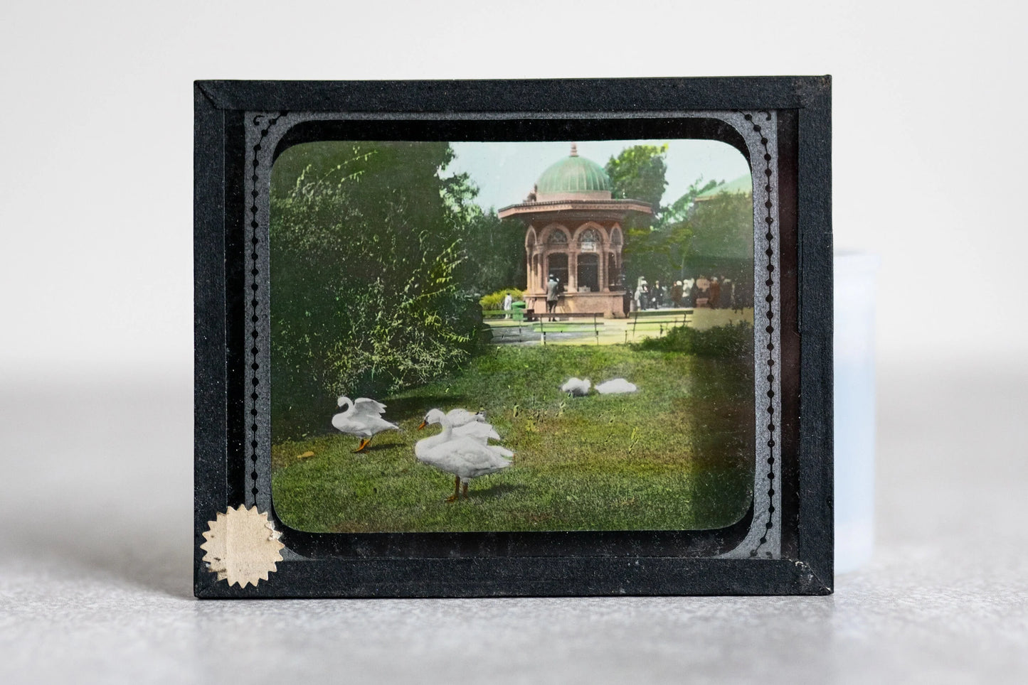 Geese Magic Lantern Color Glass Slide