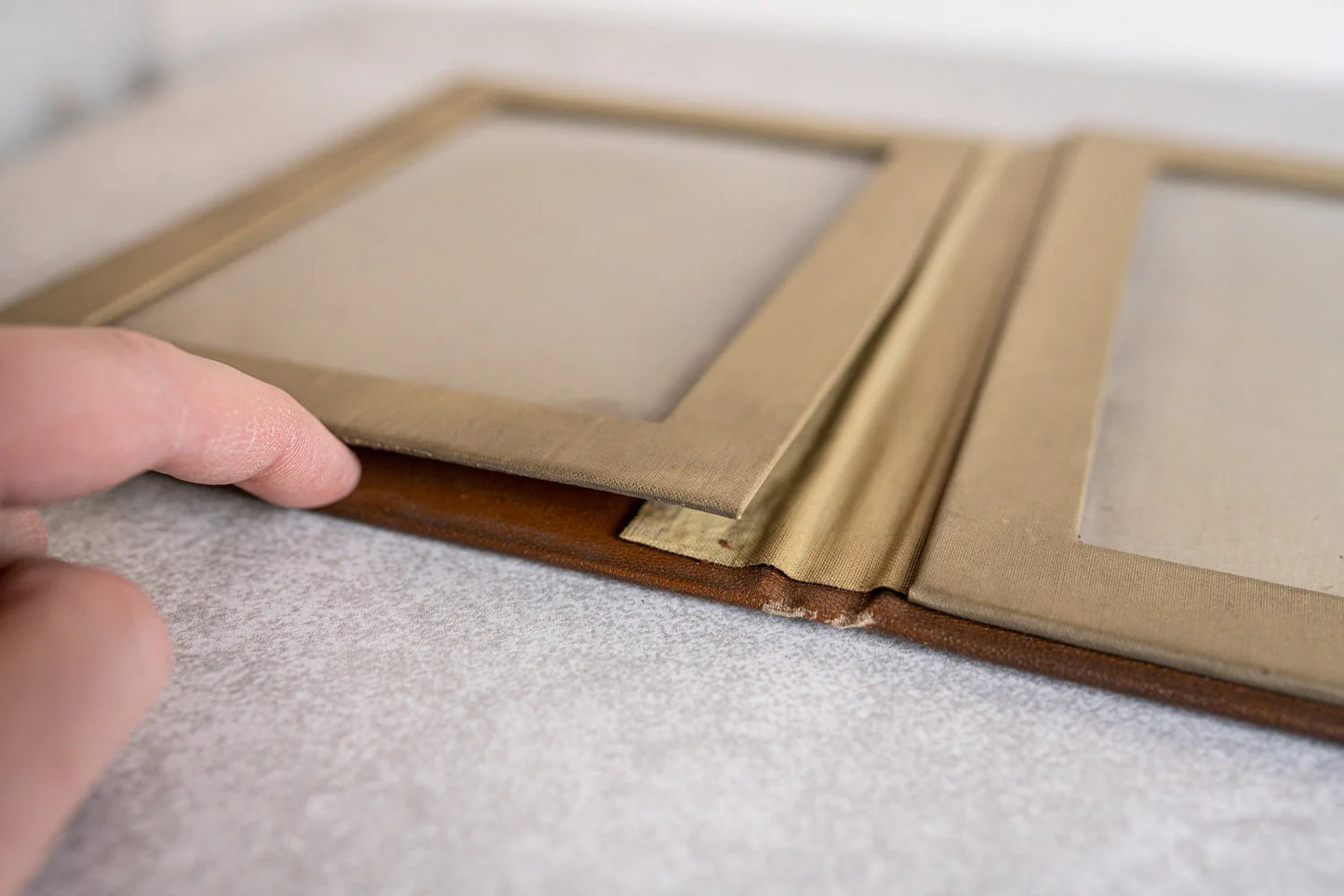 Twin Photo Frame / Album - Brown and Tan