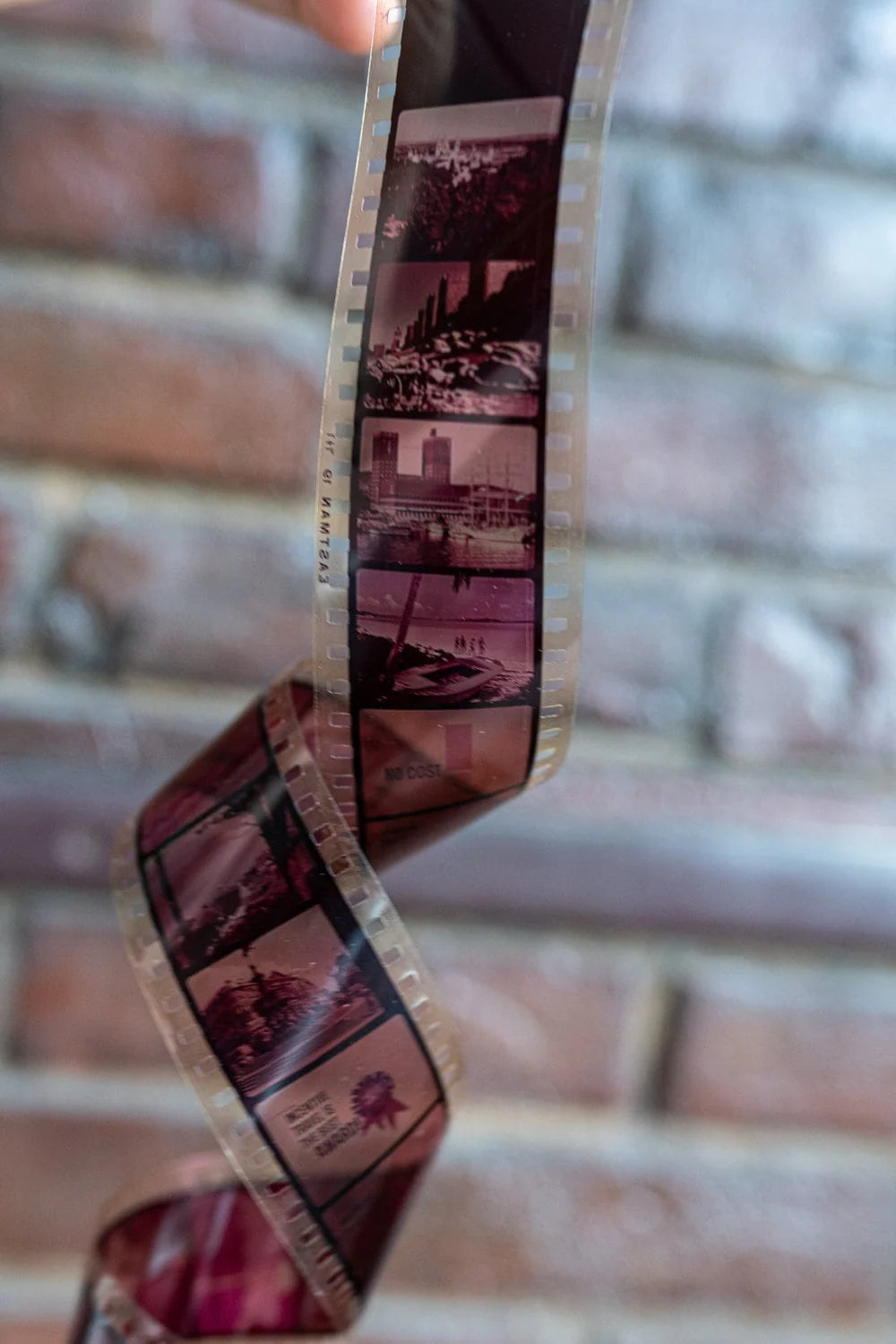 Focus: Company Quota Info Film Strip in 101 Dalmations Packaging