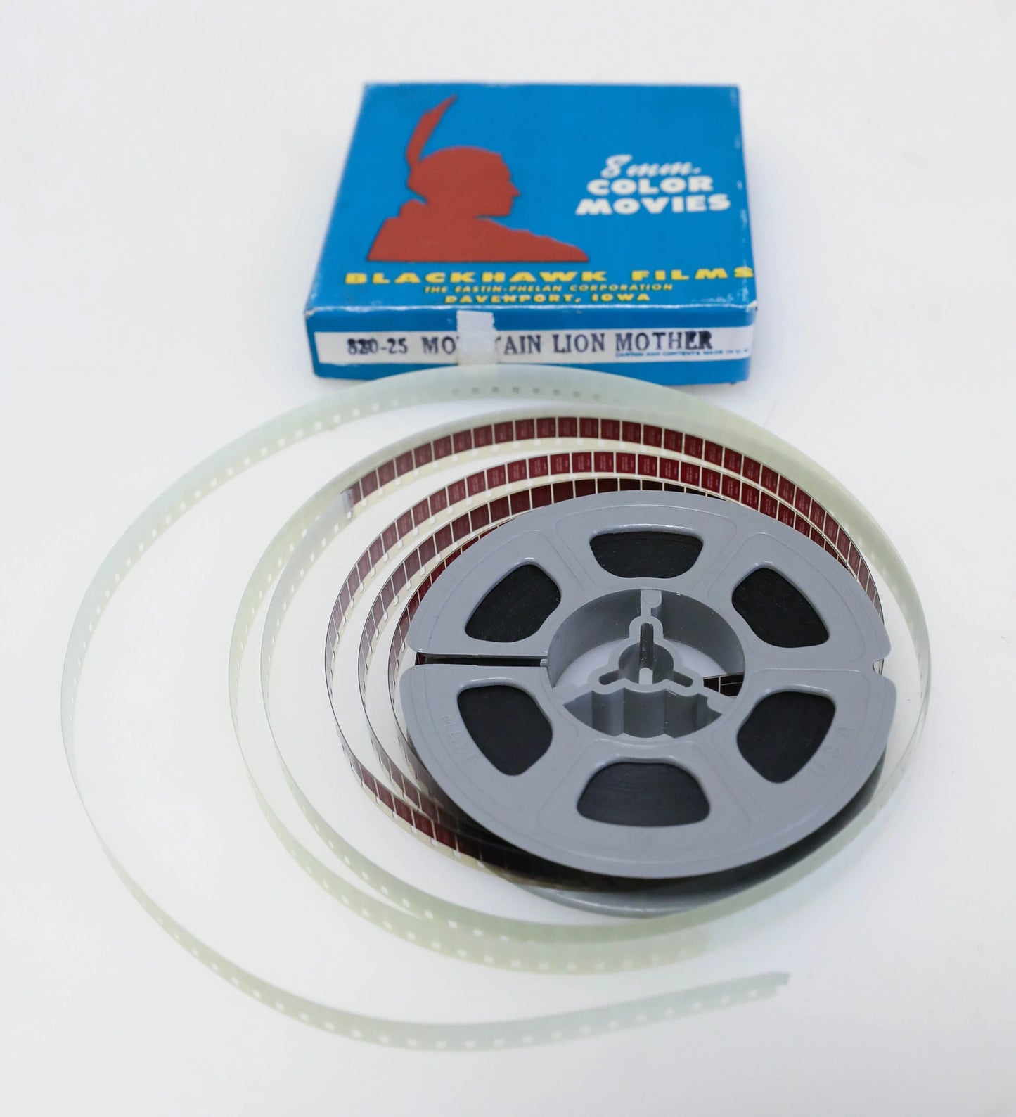Mountain Lion Mother Standard 8mm Color Movie Reel