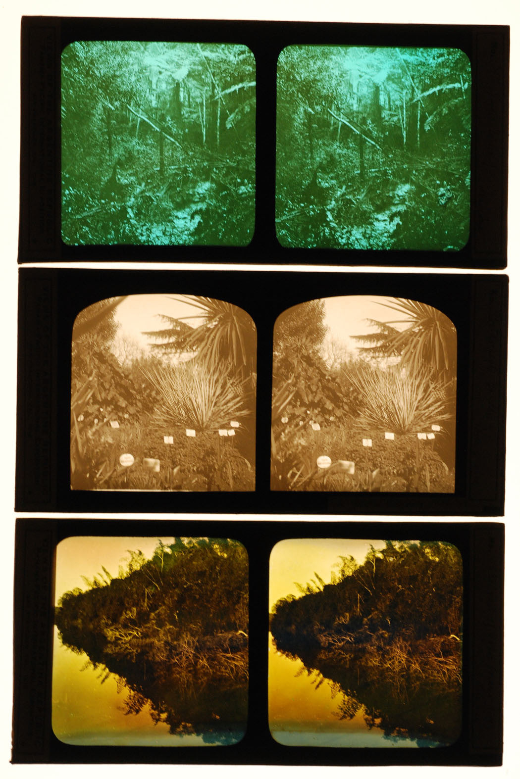 ARGENTINE VIEWS, COLOR STEREO LANTERN SLIDES. 3 SET. H 3.35 X W 6.75 INCHES.