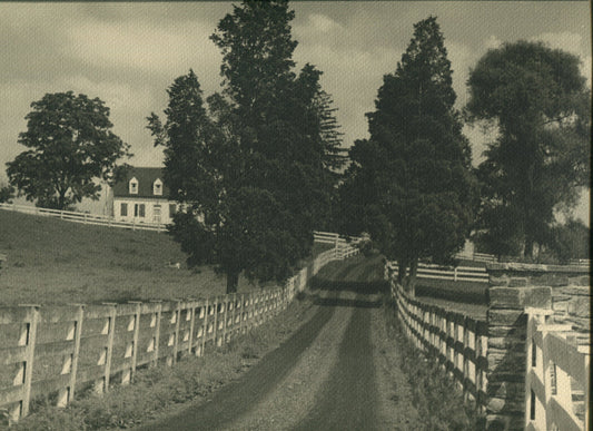 AMERICANA. HORSE FENCE LINED ROAD TO FARM HOUSE. 11 X 14 SILVER PRINT.