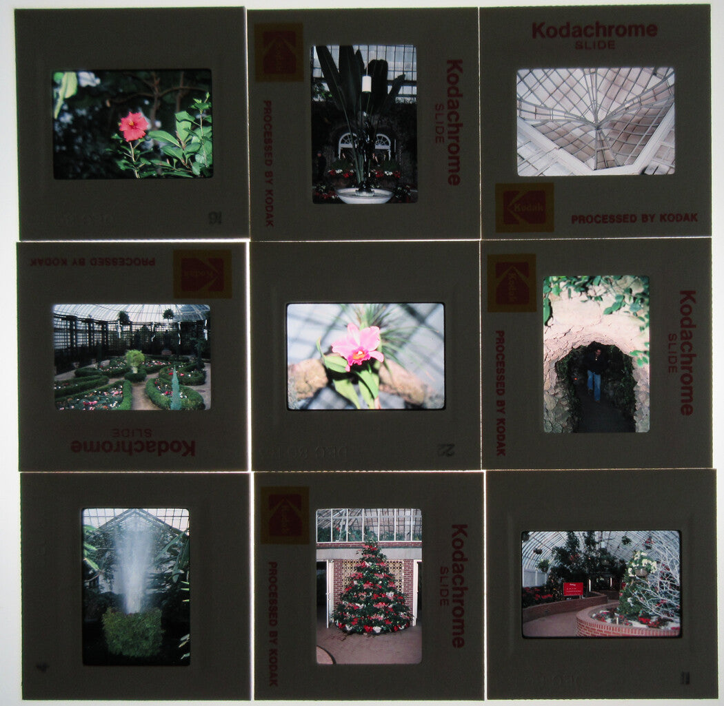 PHIPPS CONSERVATORY, PGH. PA. 15 PLUS KODACHROME SLIDES. 1980s.