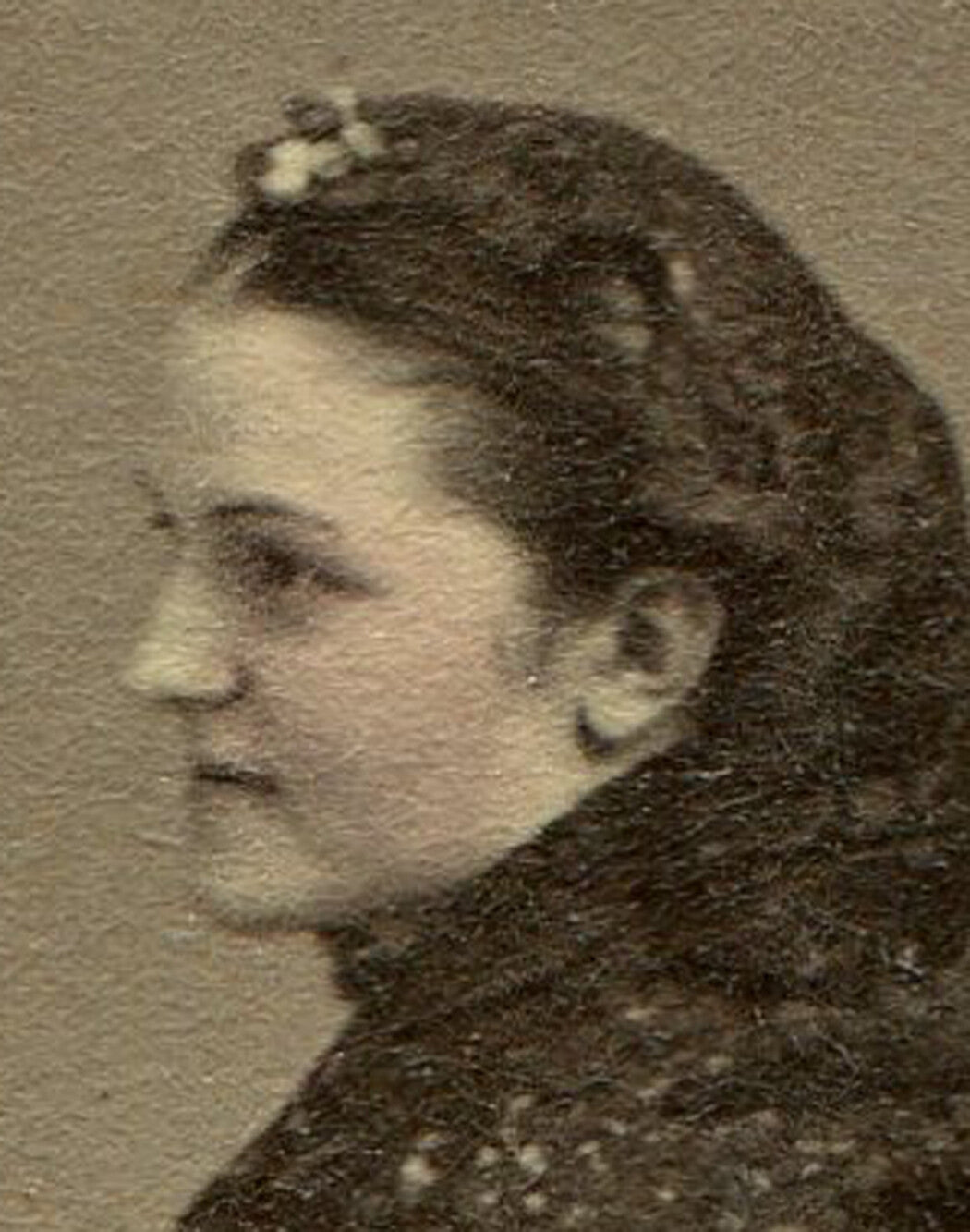 CIVIL WAR ERA CDV/TAX STAMP. WOMAN IN LONG LACE SHAW. TINTED CDV. N.Y.