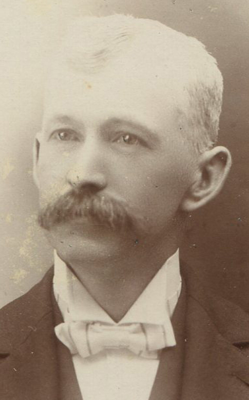 SILVER HAIRED FOX W/DARK MUSTACHE. CABINET CARD.
