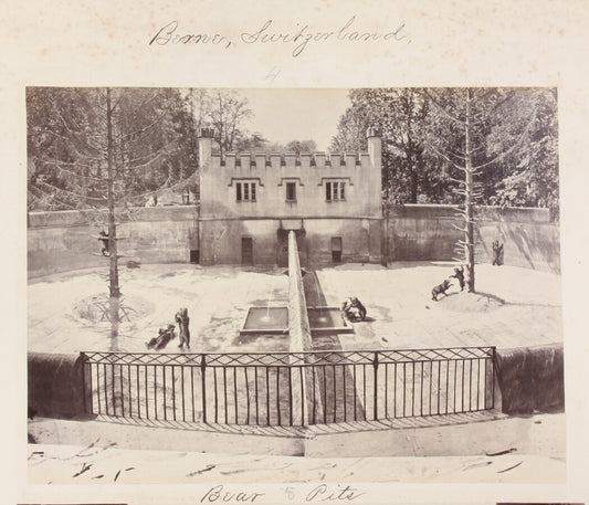 BEAR PITS, BERN, SWITZERLAND. 8x10 reprint