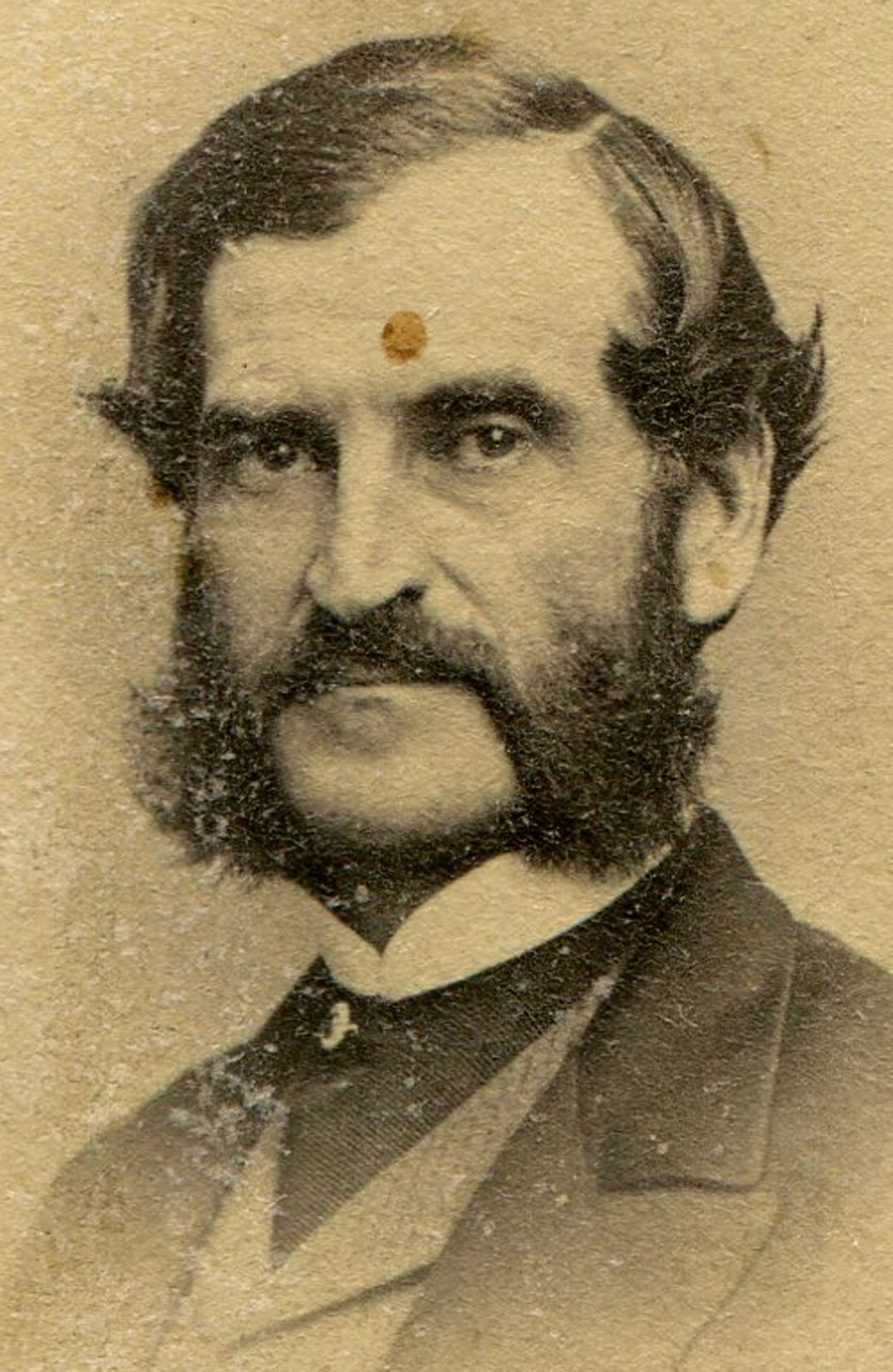 MAN WITH IMPRESSIVE  MUTTON CHOP BEARD. CDV.