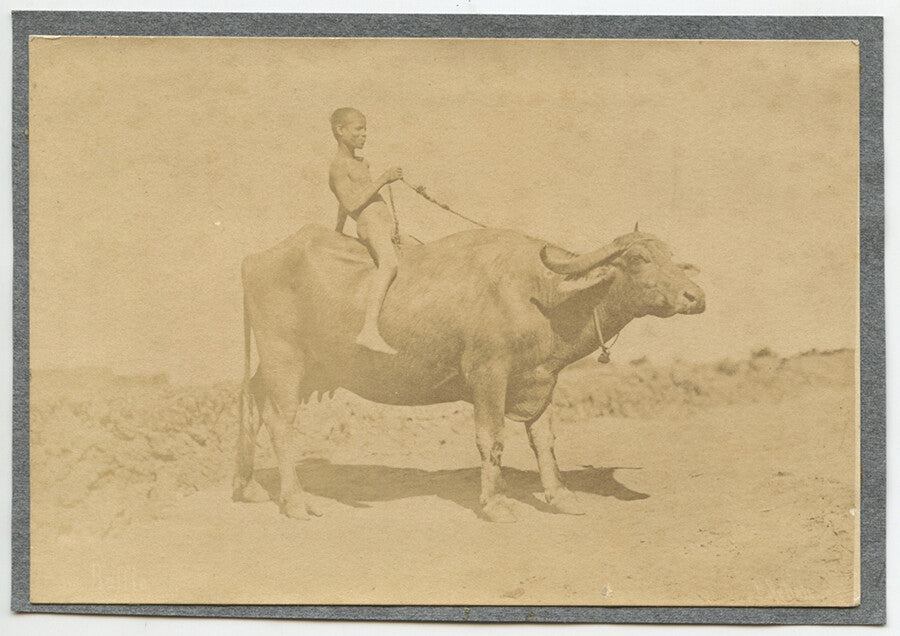 SET OF 3 VINT PHOTOS, MAN RIDING OX + MEN IN TRADITIONAL DRESS