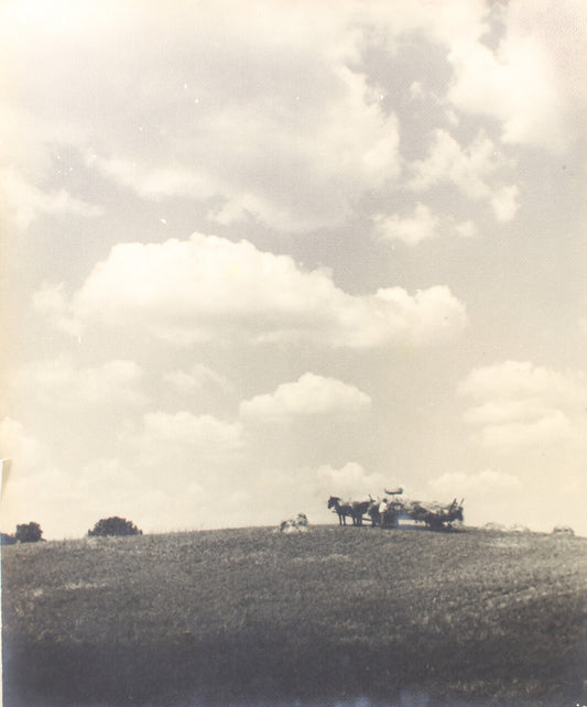 BALING HAY, WAGON AND HORSE TEAM, BUCOLIC FARM SCENE. 17 X 14 INCH SILVER PRINT.