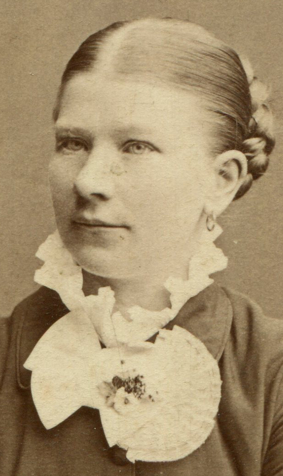 WOMAN W/ FANCY BOW AND SLEEVES. CDV.