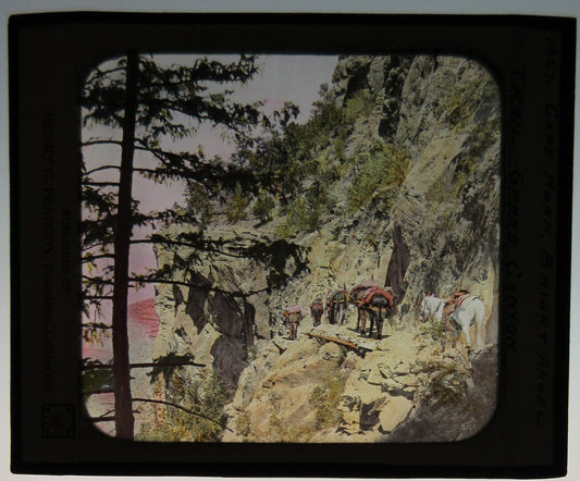 ANIMAL TRAIN, BRIGHT ANGEL TRAIL, GRAND CANYON. PHOTO ON GLASS, HAND COLORED.
