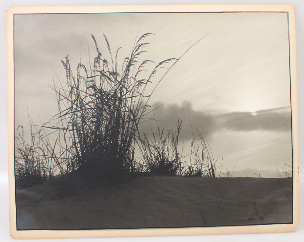 Vintage Beach Grass Against a Soft Sky 15x19 Silver Print Mounted on Board