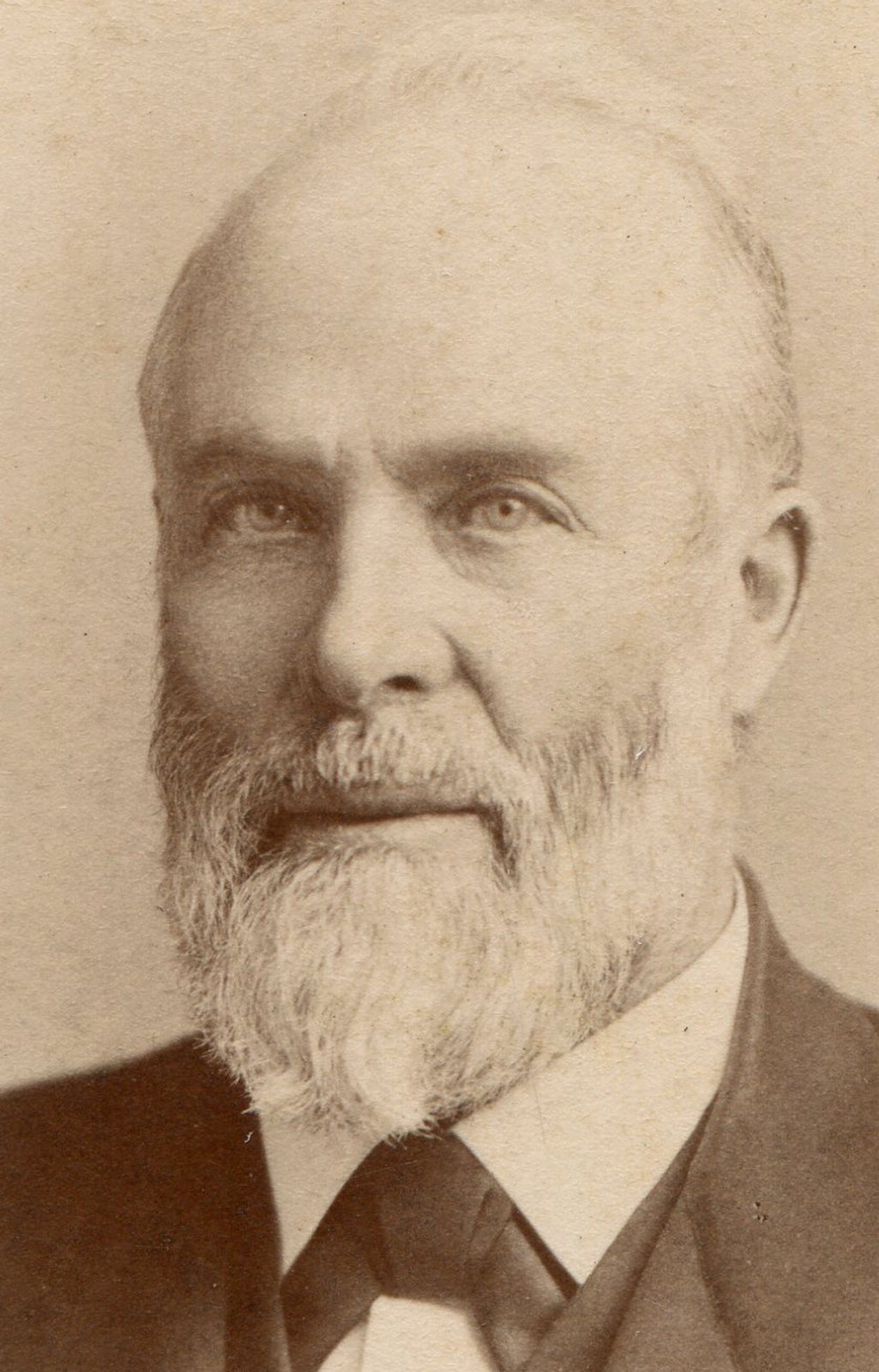 MAN WITH WHITE WISPY HAIR AND GRAY BEARD. CDV. ROME, N.Y.