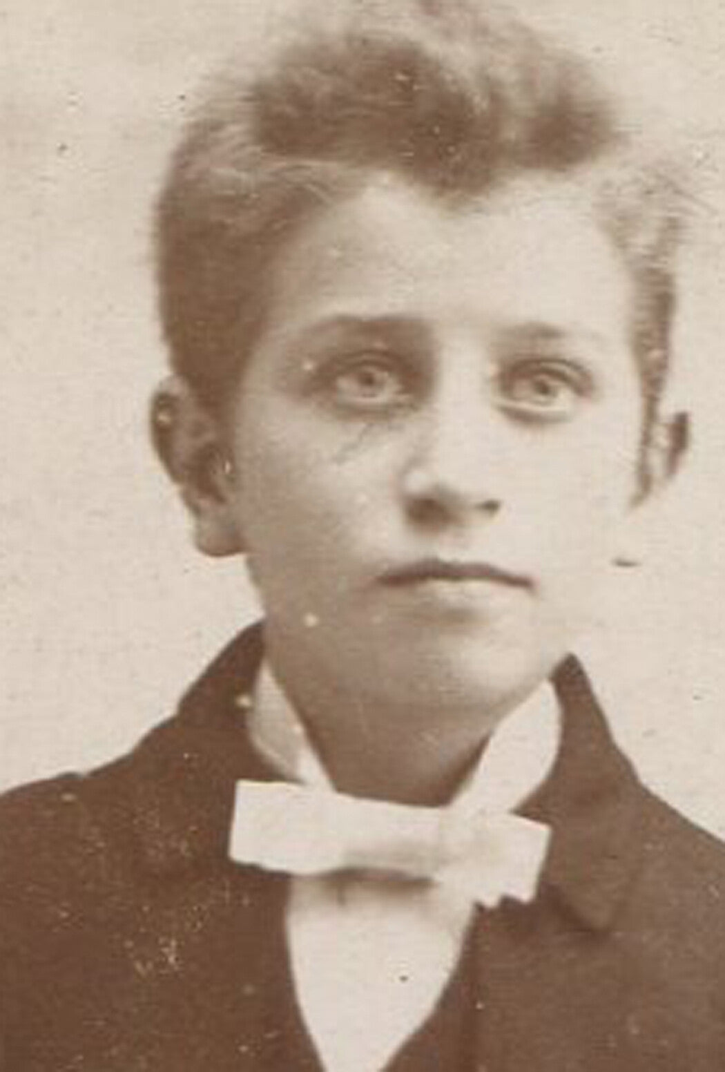 YOUNG BOY IN KNICKERS AND TIE. THEATRICIAL. CABINET CARD. ST LOUIS, MO.