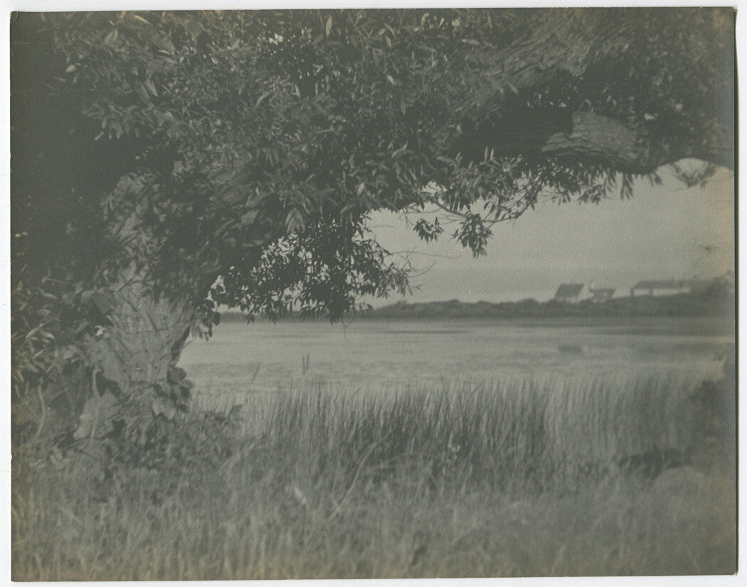 PHOTO PICTORIALISM, VINTAGE. VIEW THROUGH THE TREES AND GRASS OF THE WATER.