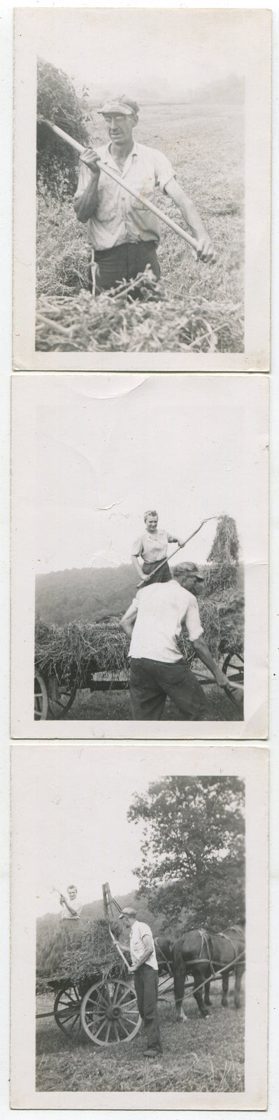 WIFE AND HUSBAND TEAM BALING HAY. 3 SET B W, 1950-60.