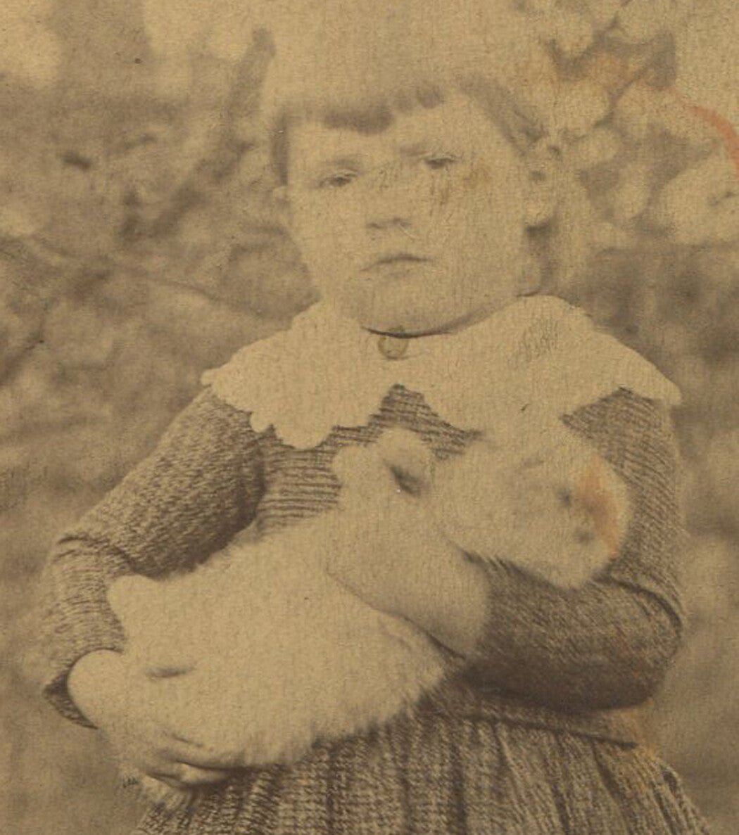 Vintage Cabinet Card Photograph Little Girl Cuddling a Cat Photo