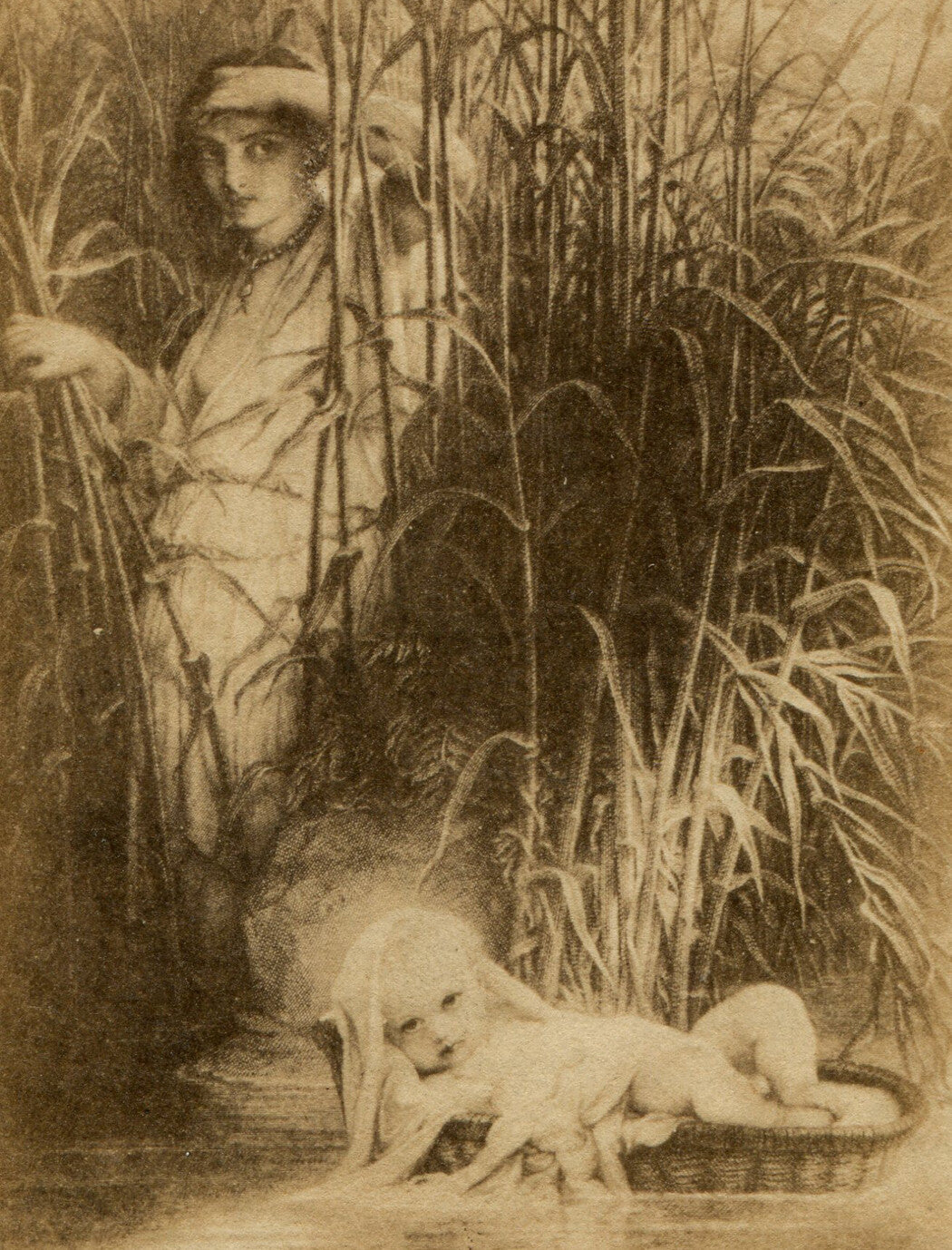 BABY MOSES FLOATING ON THE NILE. CDV OF ETCHING.