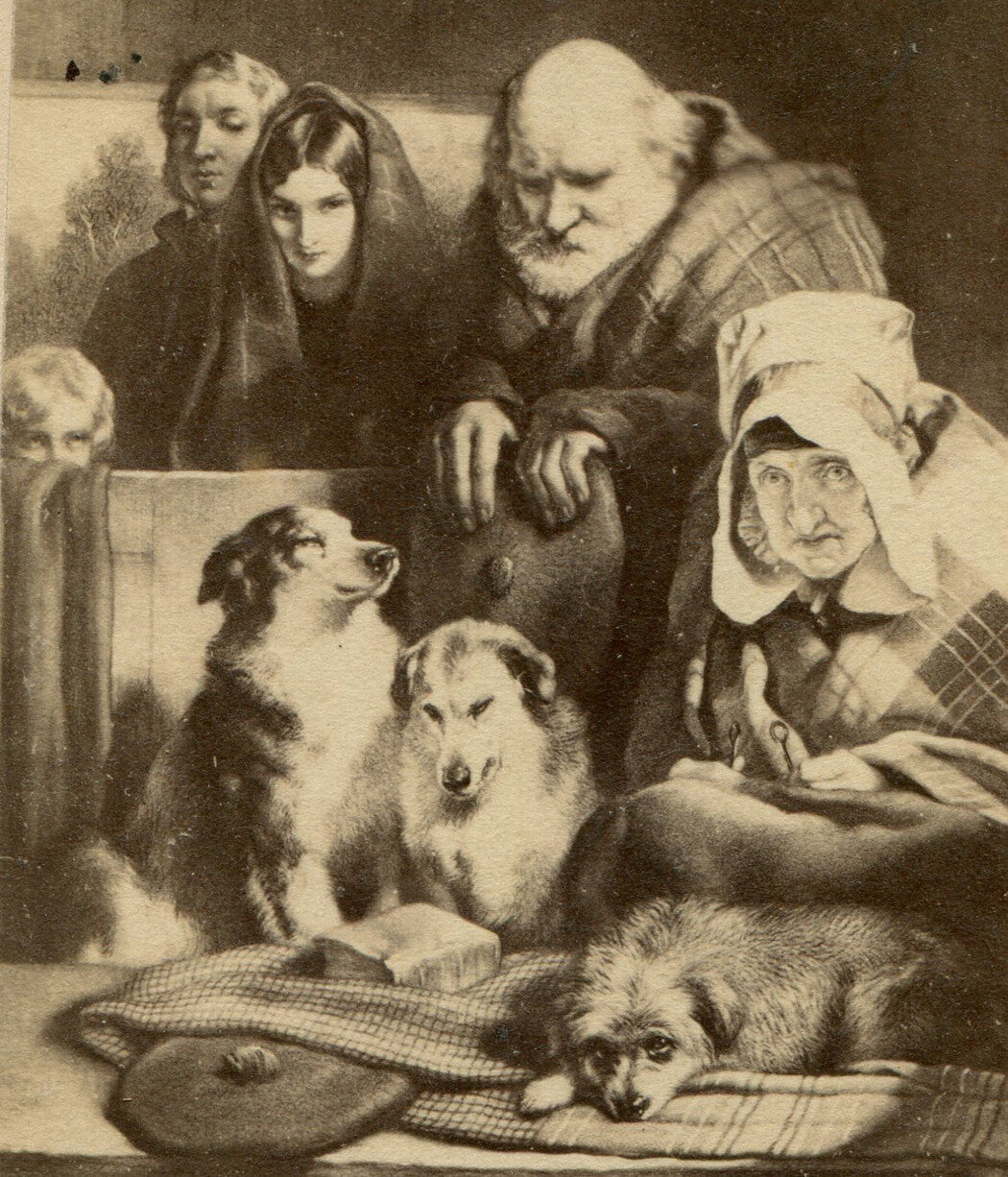 FAMILY OF DOG LOVERS. CDV OF ARTWORK.
