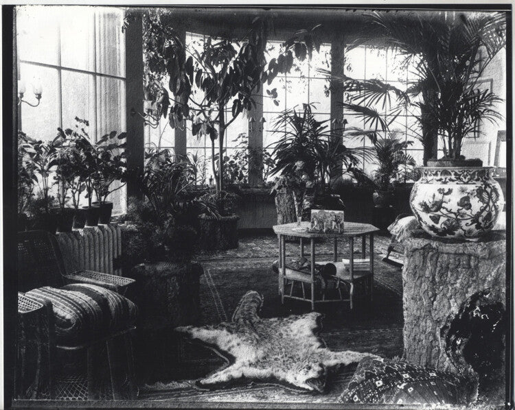 8X10 PHOTO KINGS ESTATE, PITTSBURGH, PA CONSERVATORY ROOM W/ ANIMAL RUG-SET OF 2