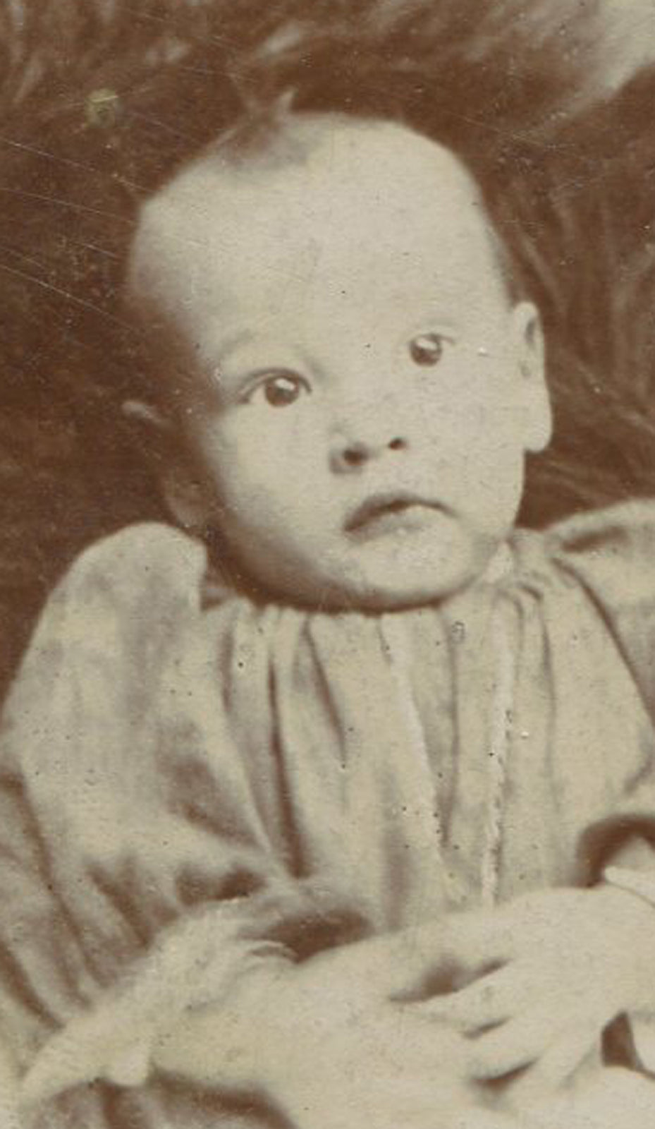 Vintage Baby Cabinet Card Photo - Wide Awake Baby with Curl on Top, Original Old Photo