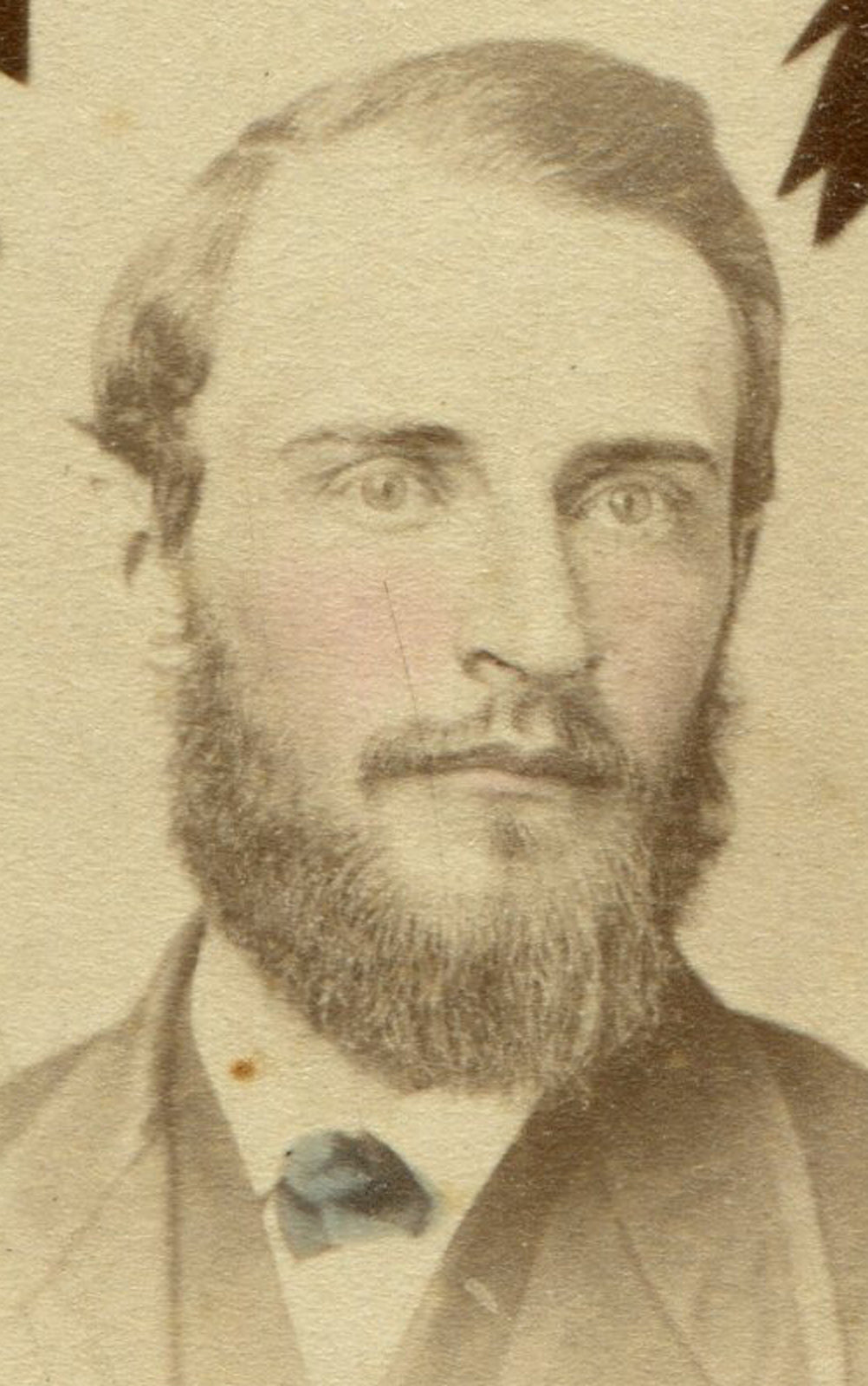HANDSOME BEARDED MAN IN LEAF. CDV. BRUNSWICK, MO.