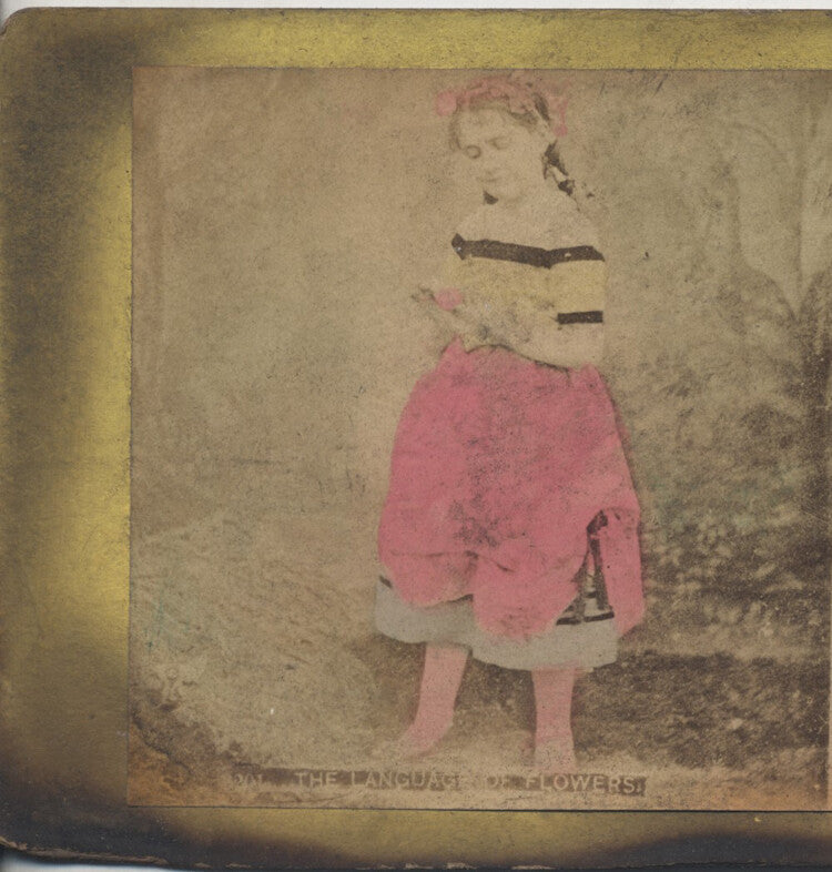 COLOR STEREOVIEW OF LITTLE GIRL IN PINK DRESS W/ FLOWERS