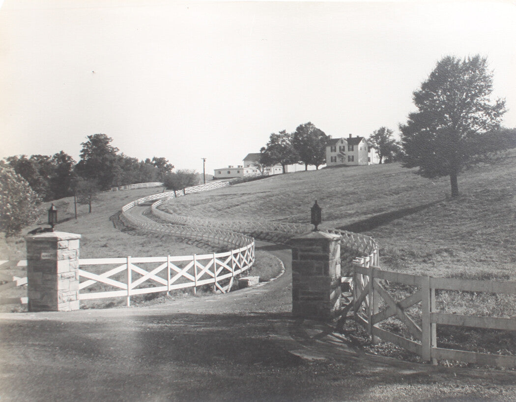 BUCOLIC ENTRANCE TO HORSE FARM. 11 X 14 INCH SILVER PRINT.