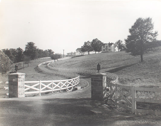 BUCOLIC ENTRANCE TO HORSE FARM. 11 X 14 INCH SILVER PRINT.