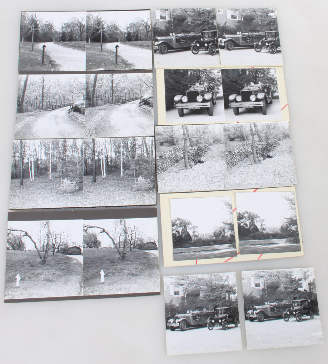 AMATEUR STEREOVIEWS, SILVER PRINT 9 SET.