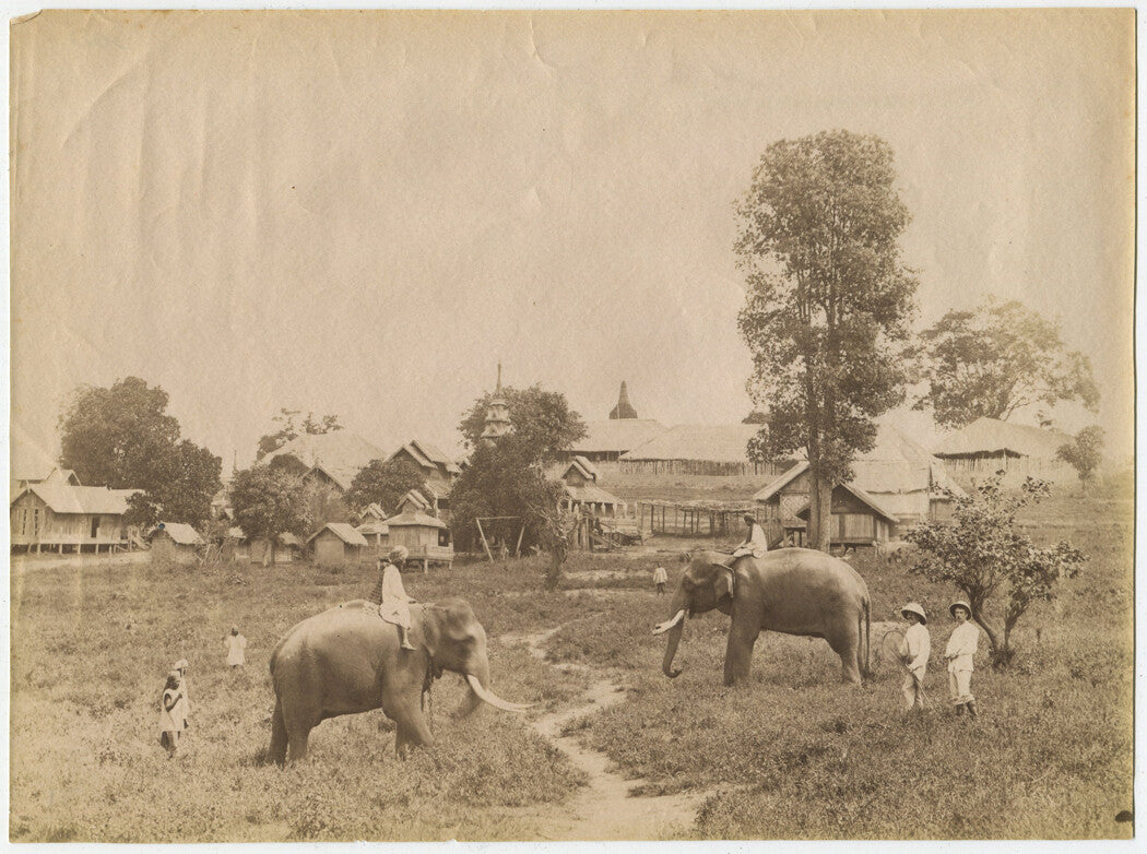 ELEPHANTS AT WORK. BURMA. UNMOUNTED ALBUMEN, 7.5 X 10.50 INCHES.