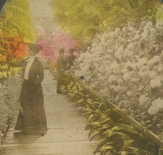 WOMAN IN HAT ENJOYING GARDENS. TINTED STEREOVIEW.