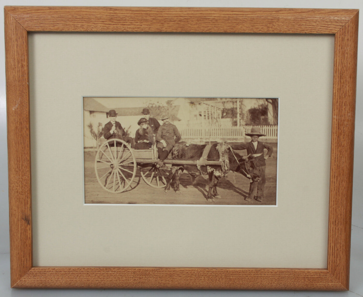 AFRICAN AMERICAN BOY POSED LEADING BULL PULLING CART W/PASSENGERS.