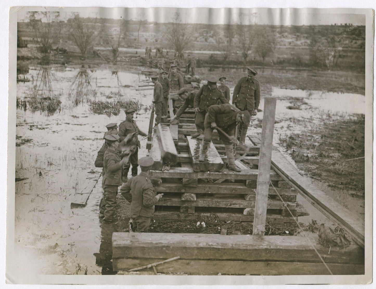 BRITISH ENGINEERS BRIDGE A SWAMP. WWI.  (8x10 REPRINT)