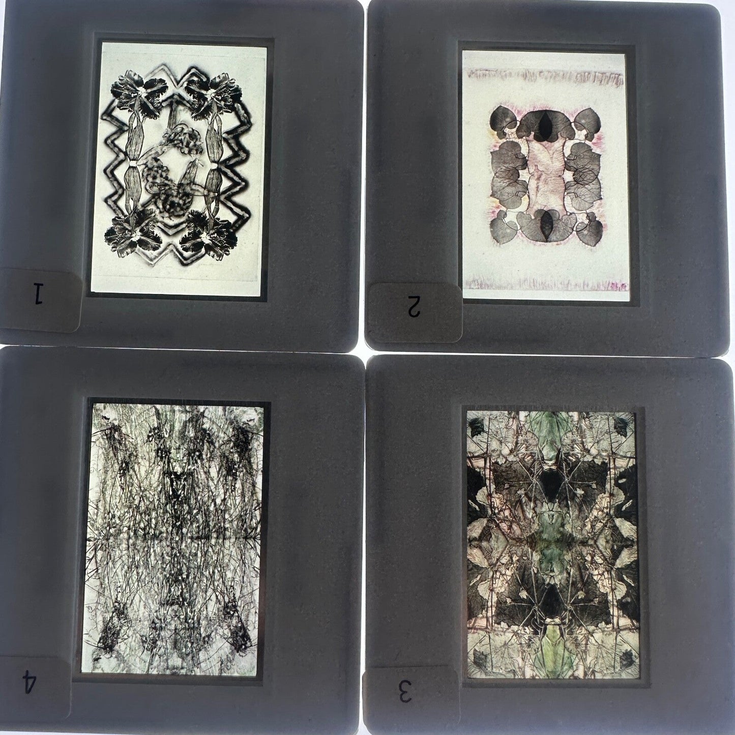Professional Photography Lot of "Joan Lyons" 1980 35mm  Slides (x25)