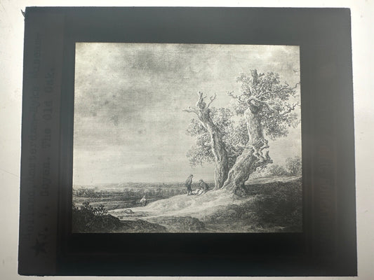 19th Century Lantern Slide of  17th Century Dutch Painter Goyen's  "The Old Oak"